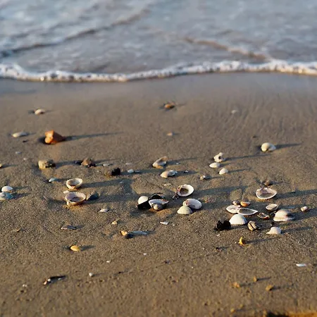 Modern Flat With Shared Pool And Sea Side View * ביביונה